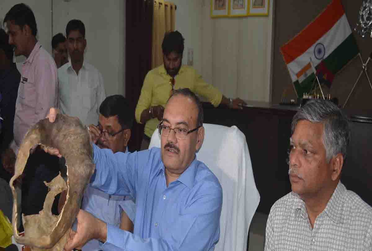 international tortoise skin Smugglers Arrested in kanpur