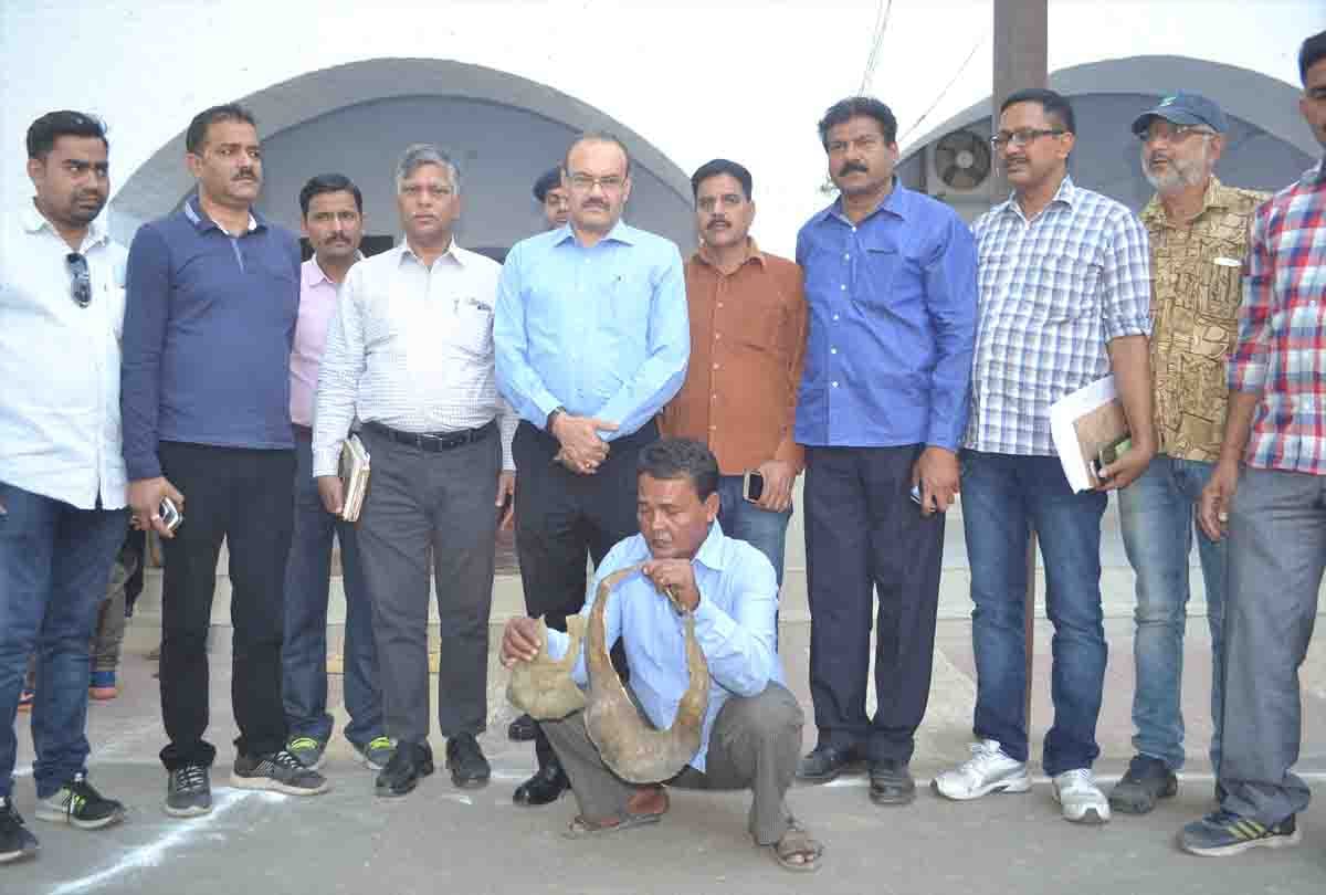 international tortoise skin Smugglers Arrested in kanpur