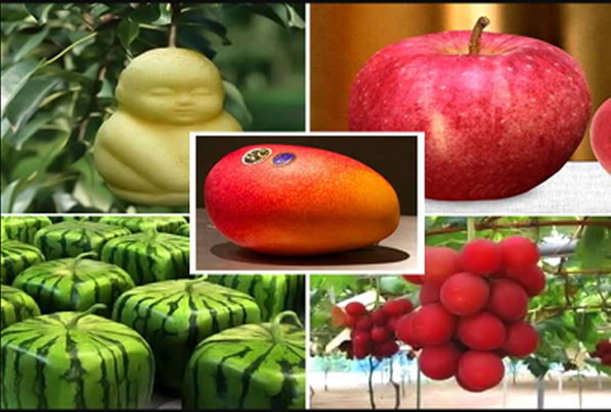 Know about five Worlds most expensive fruits