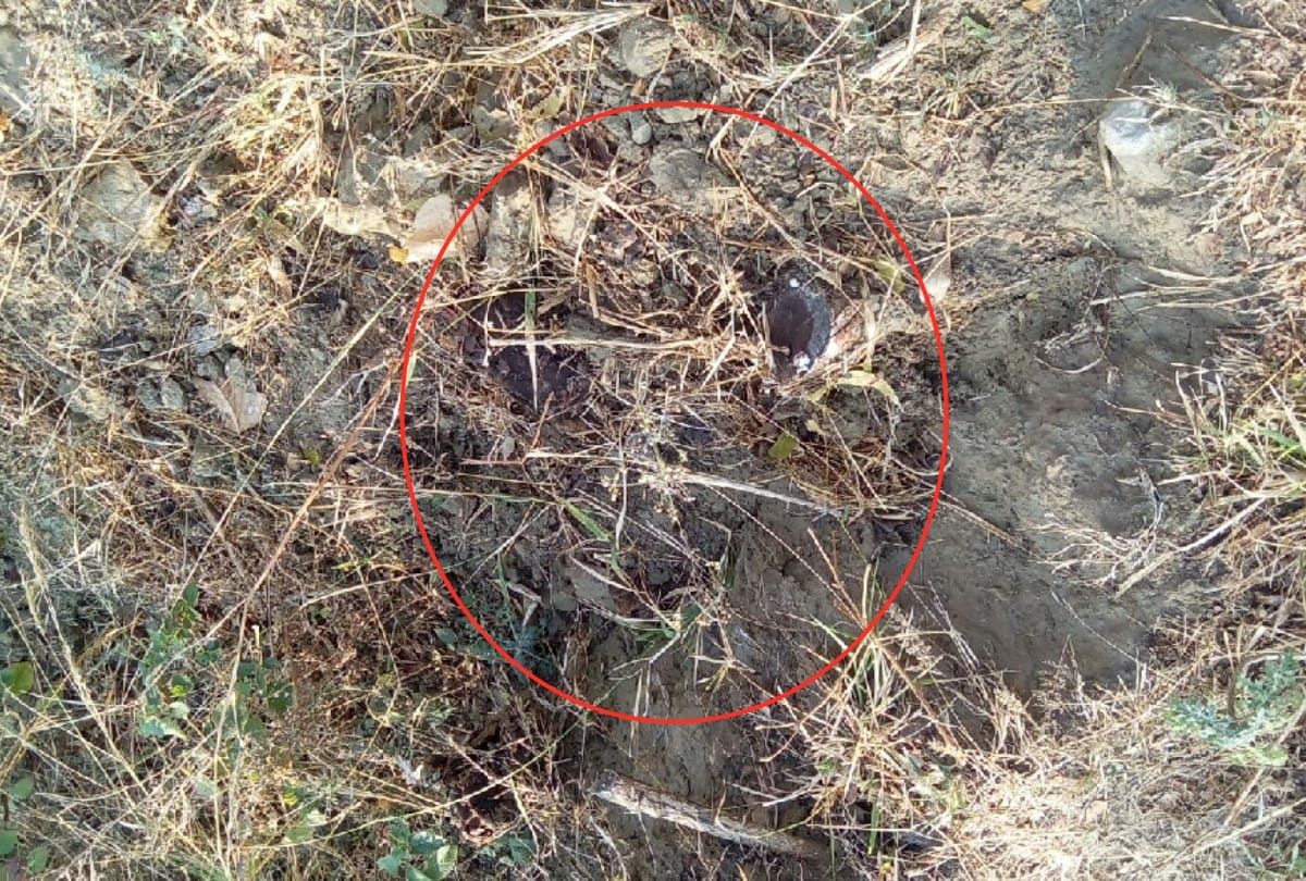 Illegal khair Felling Case: नयनादेवी में अवैध खैर कटान मामले में चार चालान तैयार, जांच को भेजे