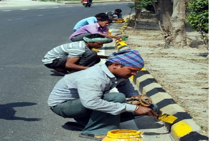 Chief Minister Yogi Adityanath Will inaugurate elevated road today