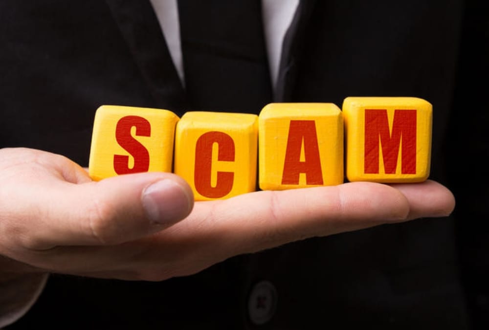 nagar nigam panipat submitted street light scam enquiry report