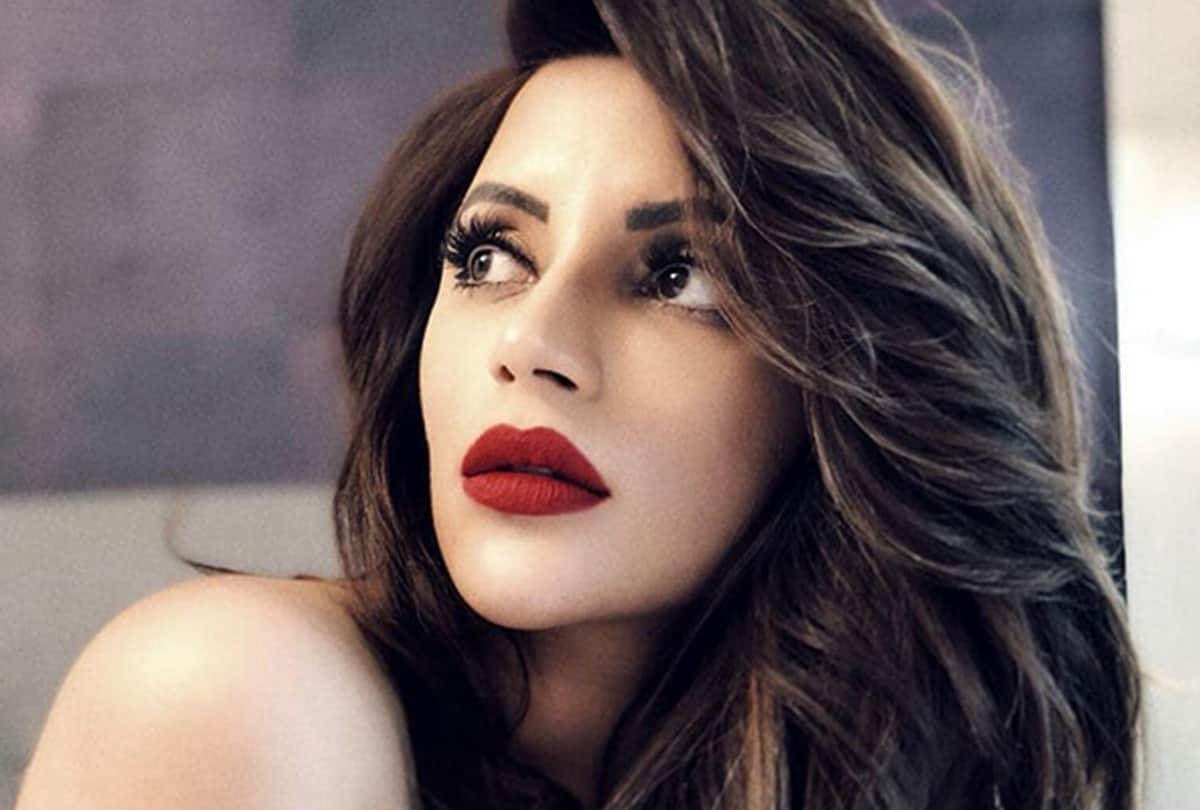 shama sikander wedding plans stuck during lockdown