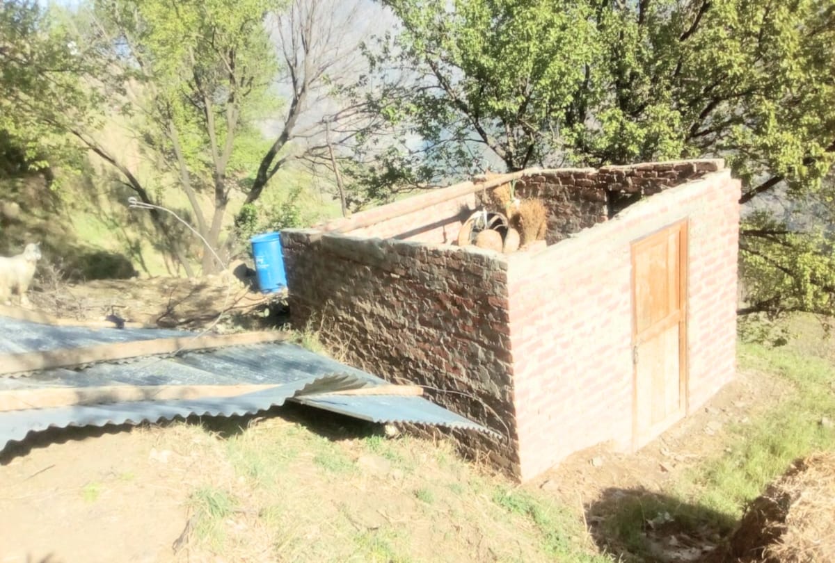 big loss to property due to Storm at shimla rampur