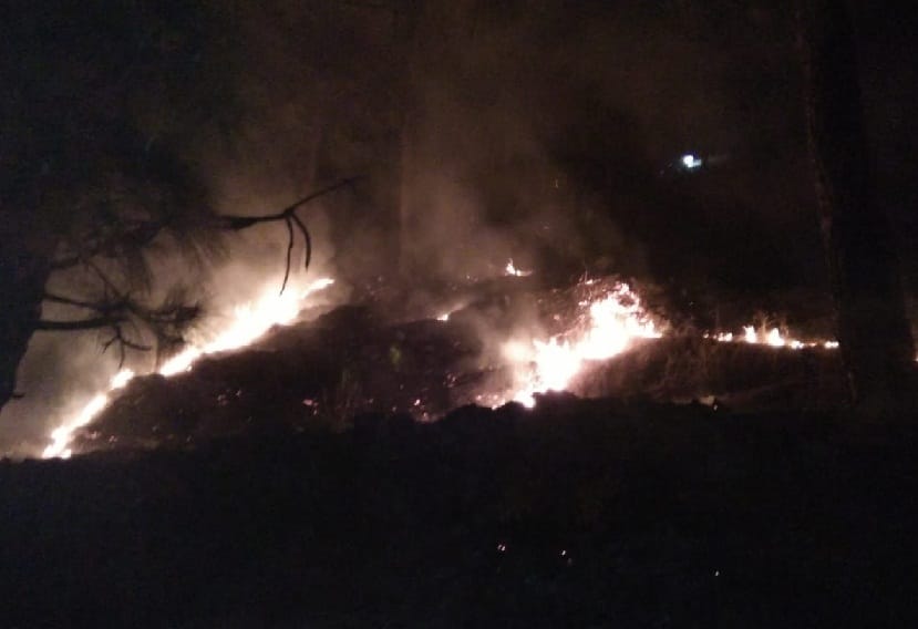 Fire in Pande Khola's forest, no one came to quench