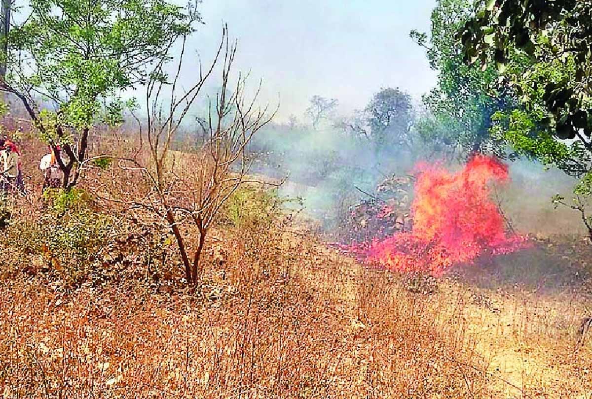 Fierce fire in chitrakoot forest