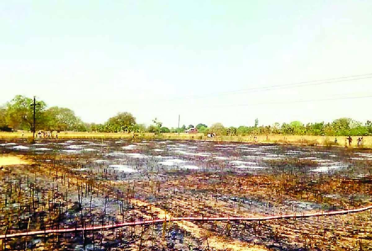Fierce fire in chitrakoot forest