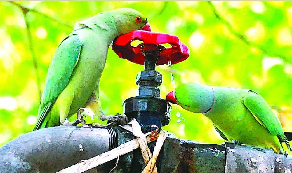 water is being wasted in agra 