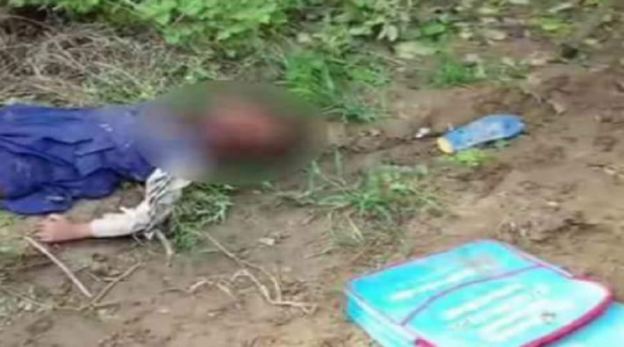 Rape with a little girl in Meerut, baby killed