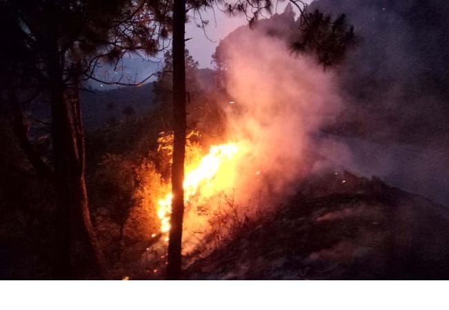 A forest panchayat forest near Maneshwar was on fire