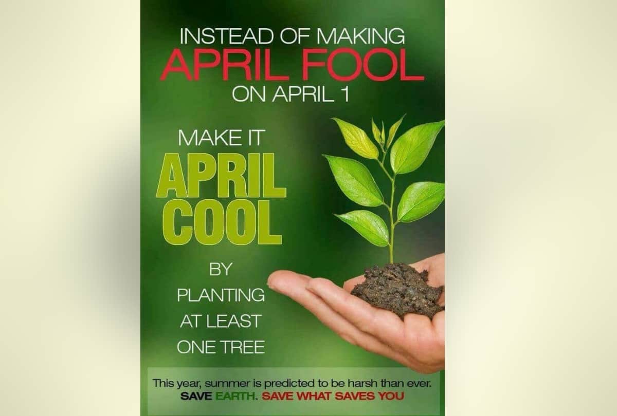 virender sehwag posted a photo on twitter saying make april cool and plant atleast one tree
