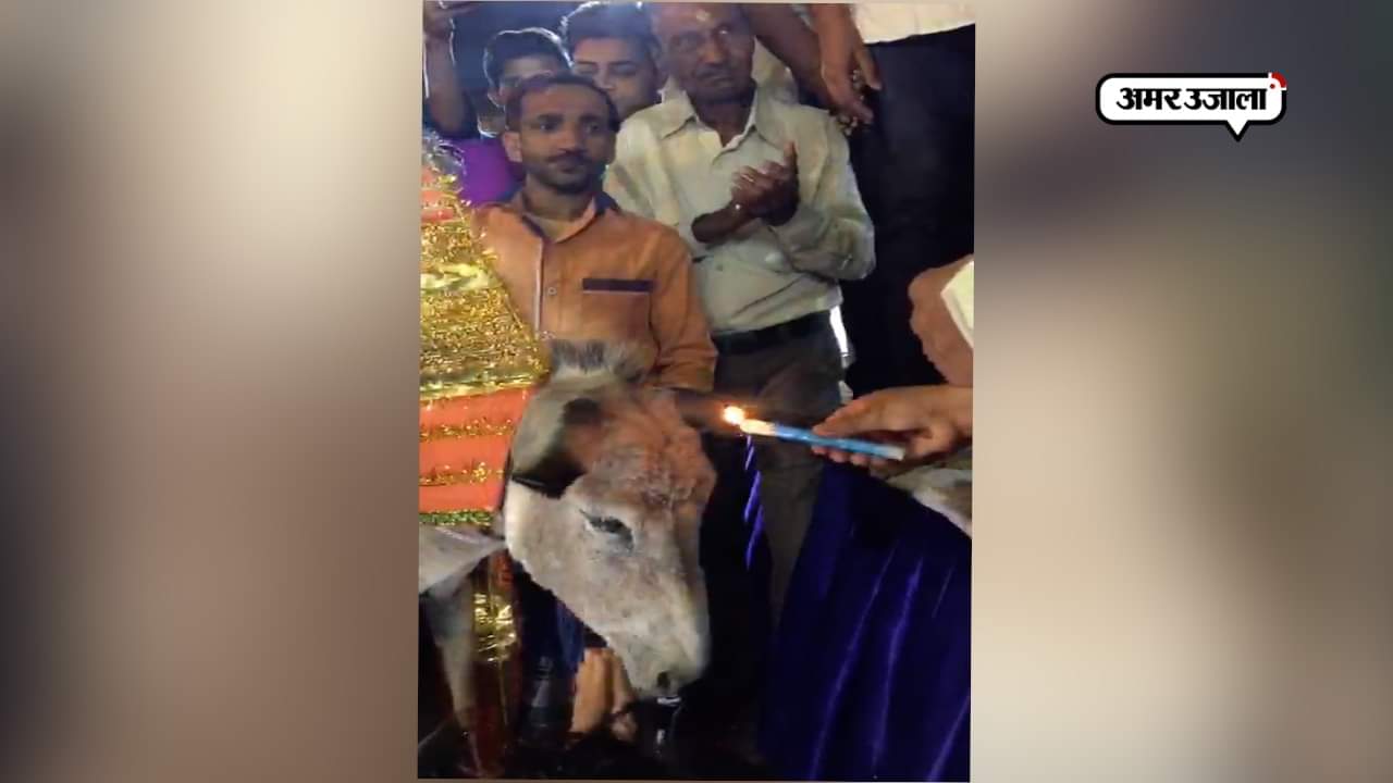 अप्रैल फूल दिवस