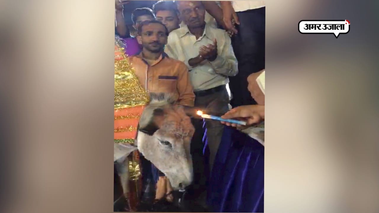 अप्रैल फूल दिवस