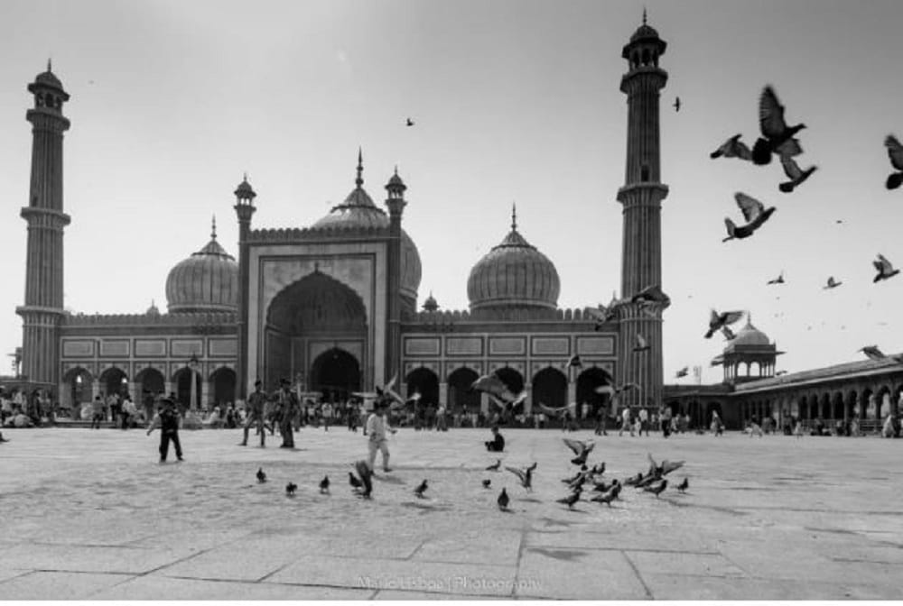 Jama Masjid Controversy: Hindu Mahasabha claims idols of deities are under Jama Masjid letter written to PM Modi for digging