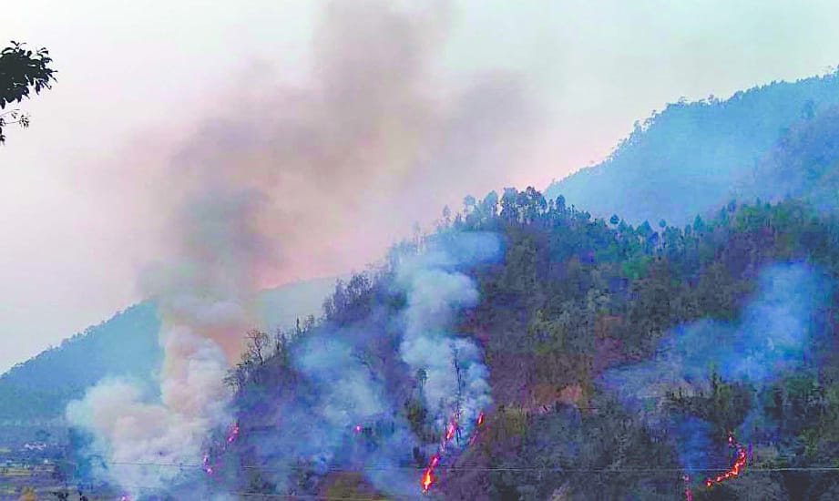 machiyaad forest burning in fire