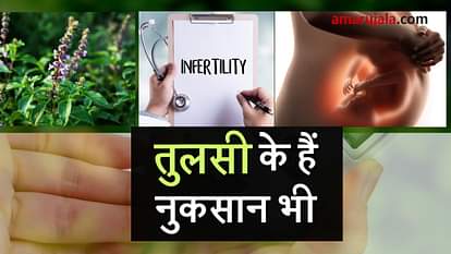 Sideeffects of holy basil leaves