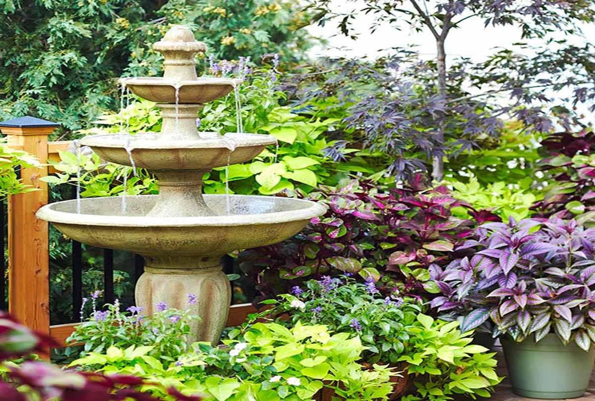 know about Vacation Proof Plant 
