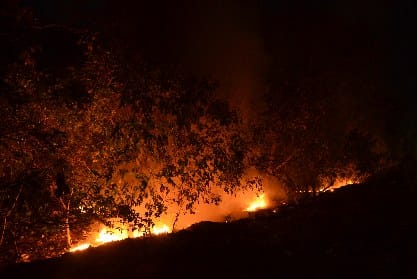 skelton found in burning garbage