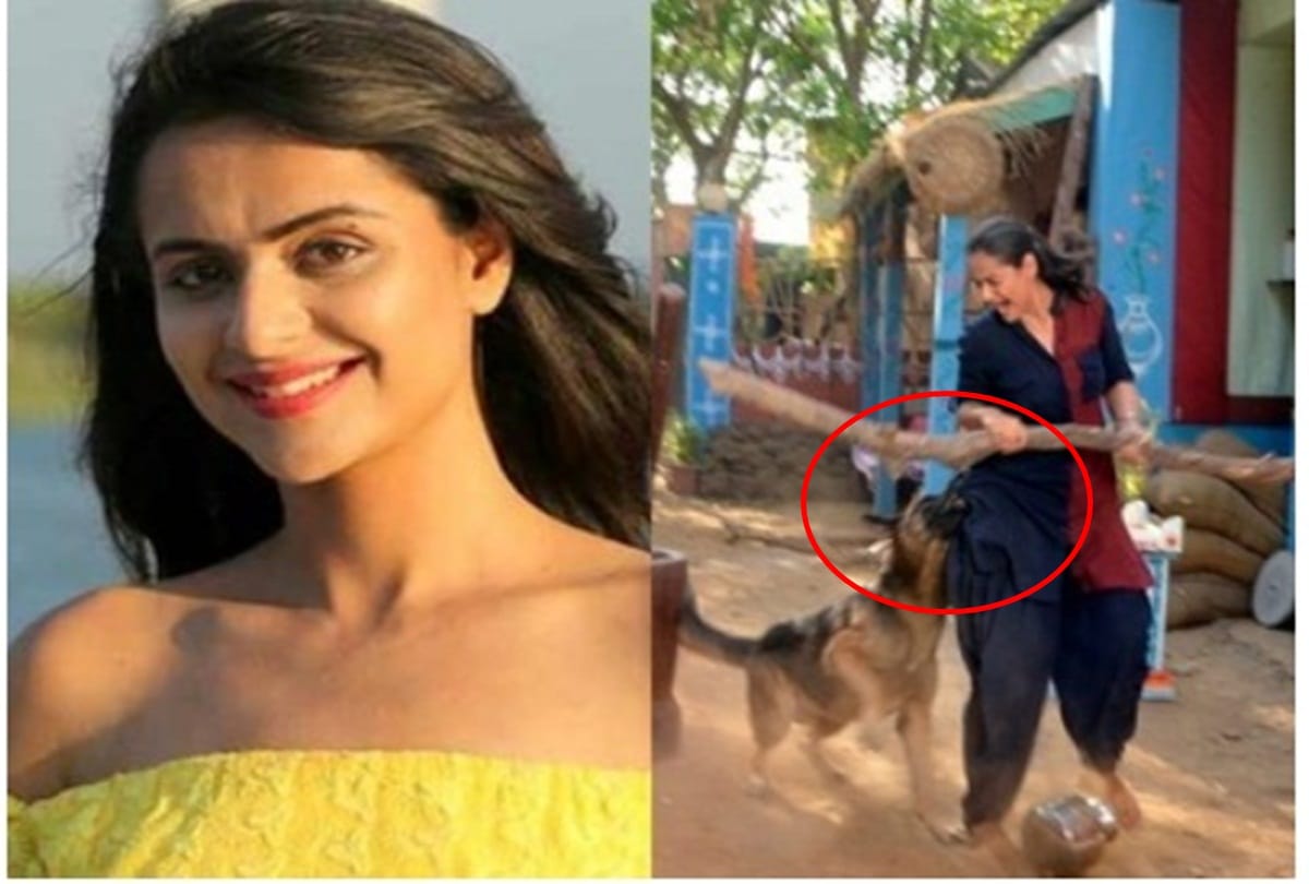 Dog bites actress Prachi Tehlan on the sets of Ikyawaan