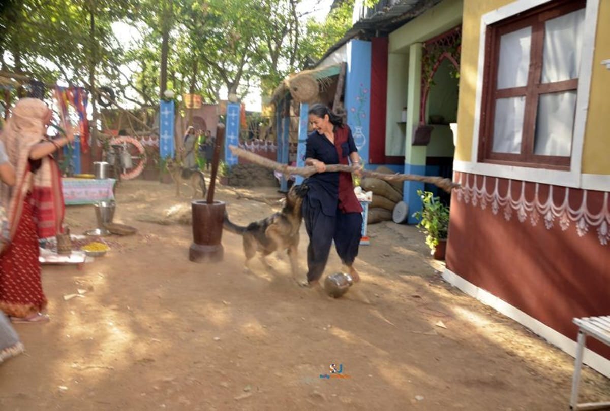 Dog bites actress Prachi Tehlan on the sets of Ikyawaan