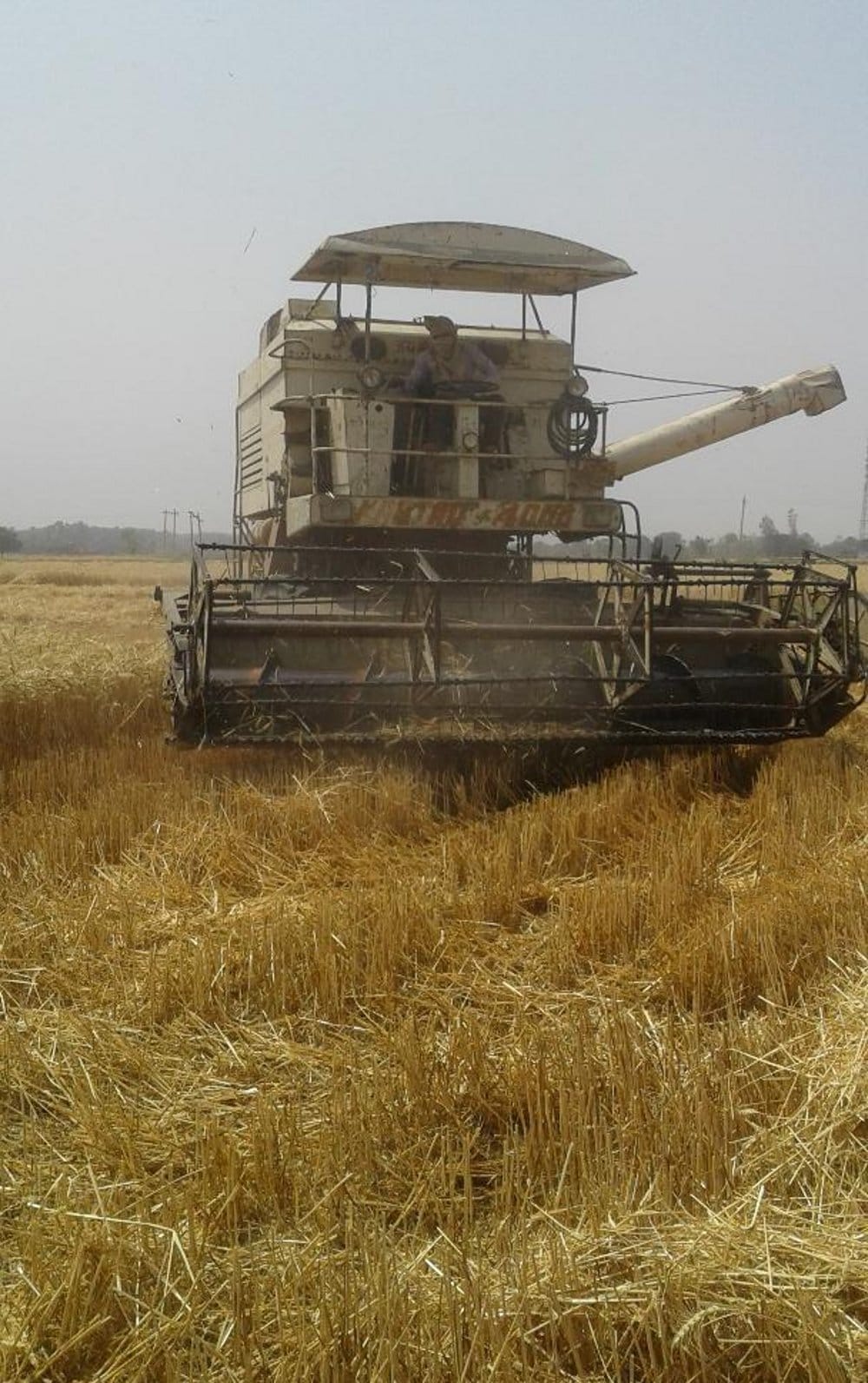 farmers engaged in saving the crop seen in weather