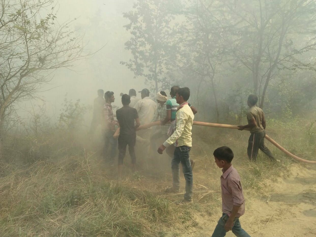 जंगल में लगी आग, पेड़ जले