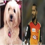 Shikhar Dhawan shares his pet photo on twitter and write emotional post for her