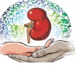 Kerala gears up to introduce swap donation to cut down on organ trade