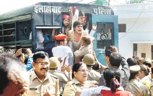 Dabish in search of miscreants