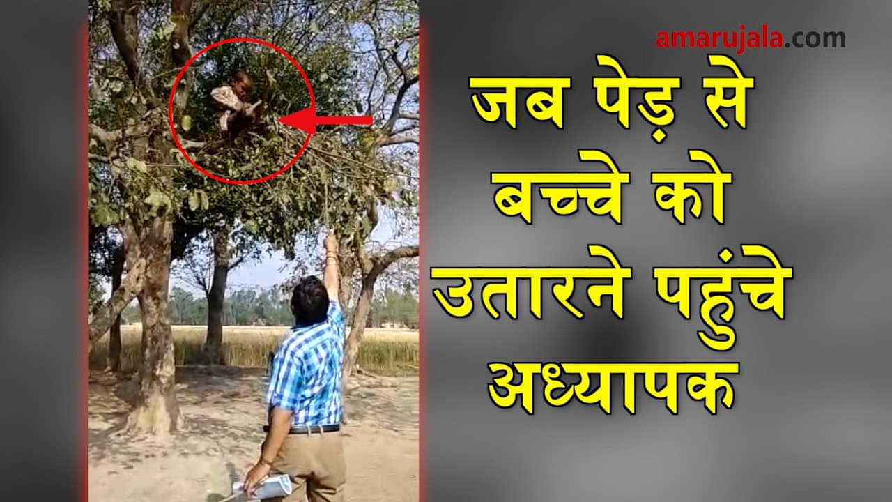 प्रतीकात्मक तस्वीर