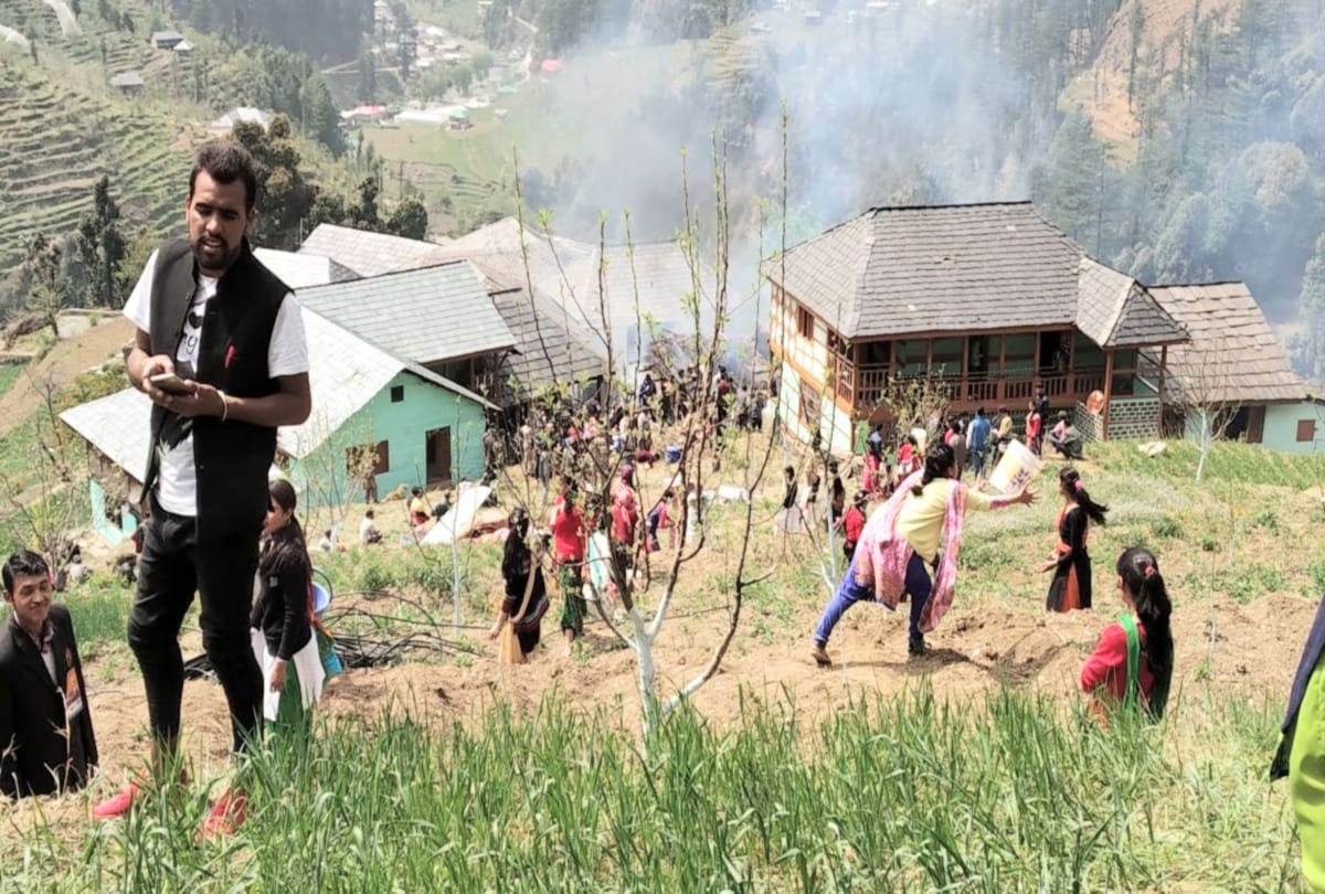 three cowshed gutted in fire at mandi