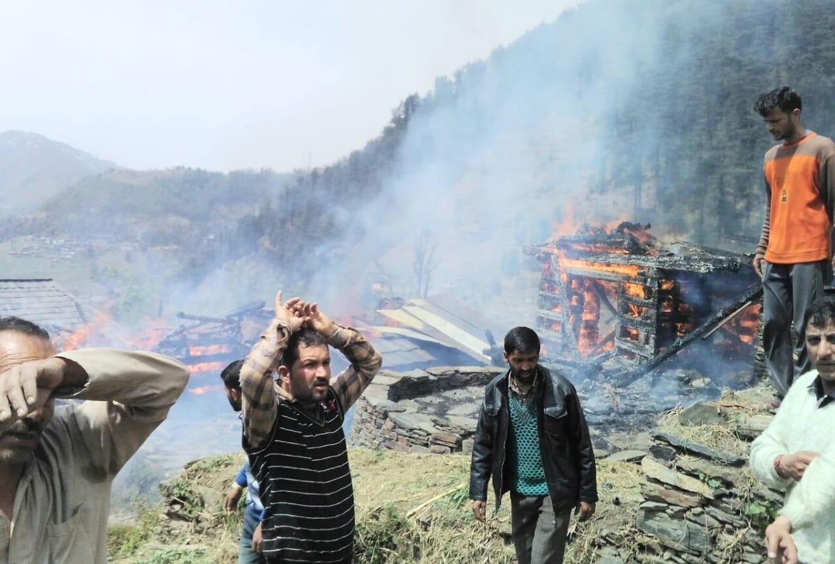 three cowshed gutted in fire at mandi