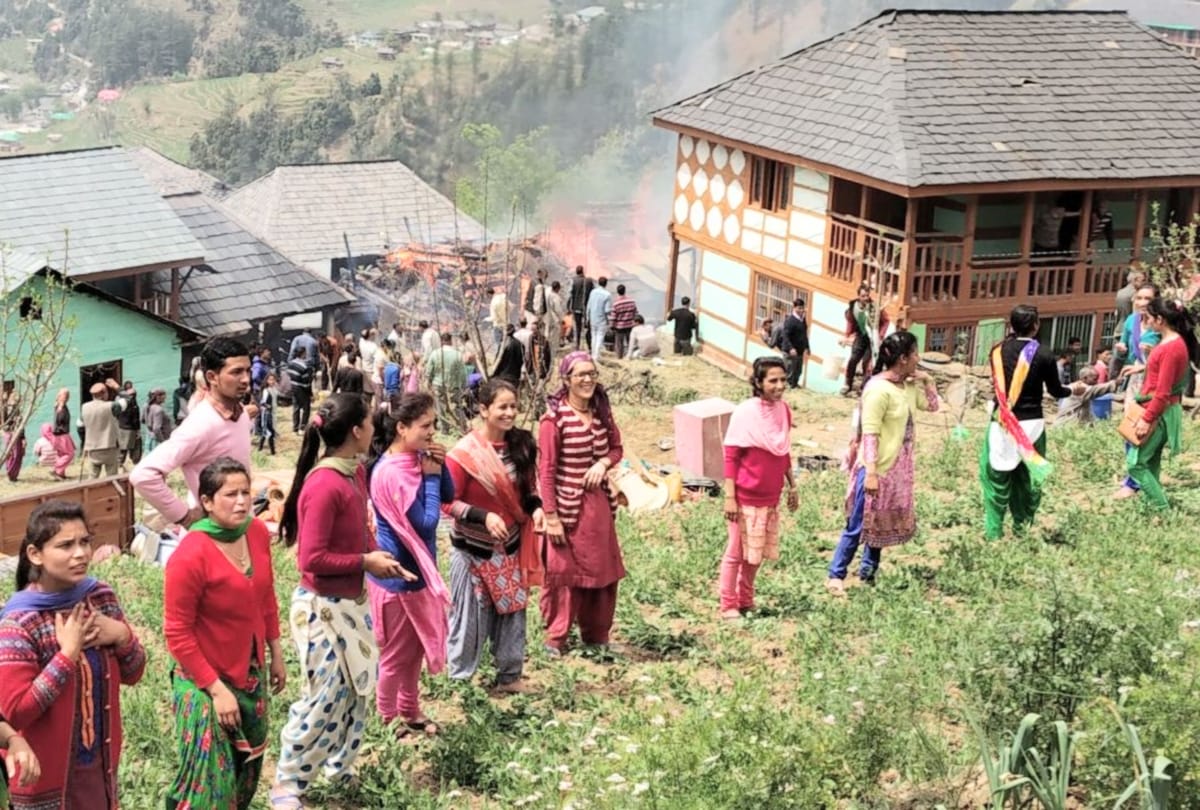 three cowshed gutted in fire at mandi