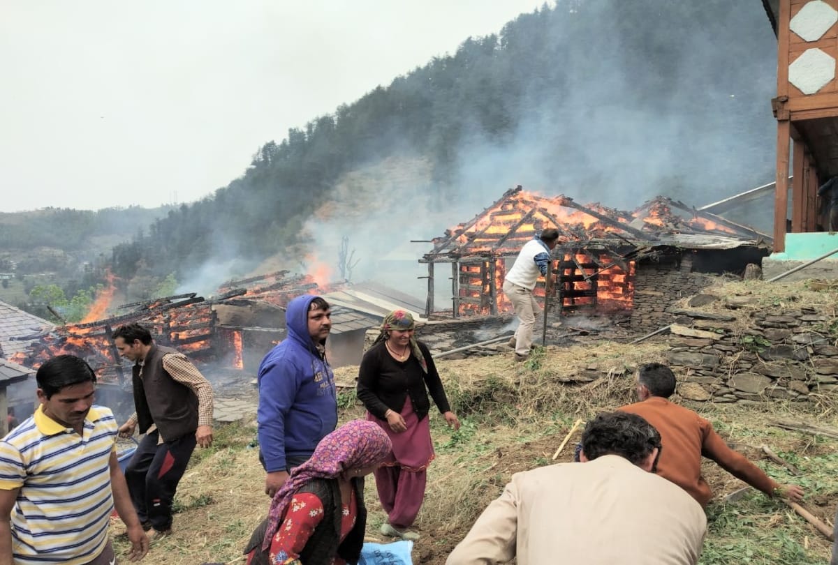 three cowshed gutted in fire at mandi