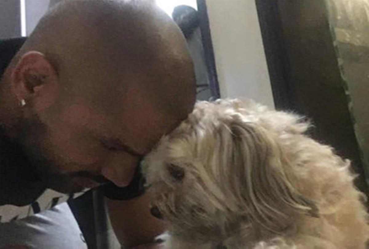 Shikhar Dhawan shares his pet photo on twitter and write emotional post for her