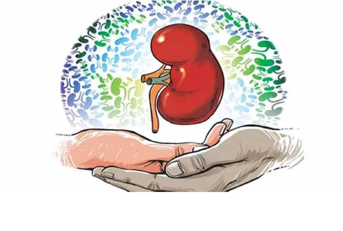 Kerala gears up to introduce swap donation to cut down on organ trade