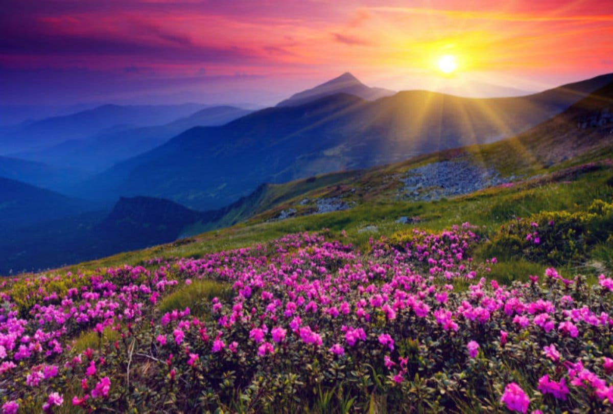 You must know five best places to visit in just five thousand rupees