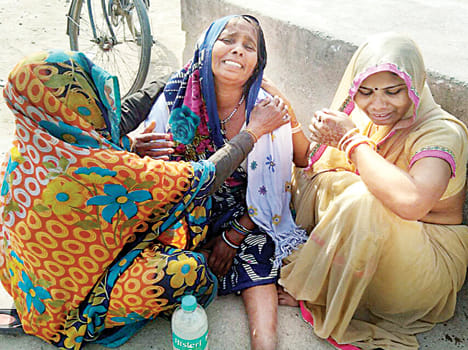 Crushing farmer shot dead