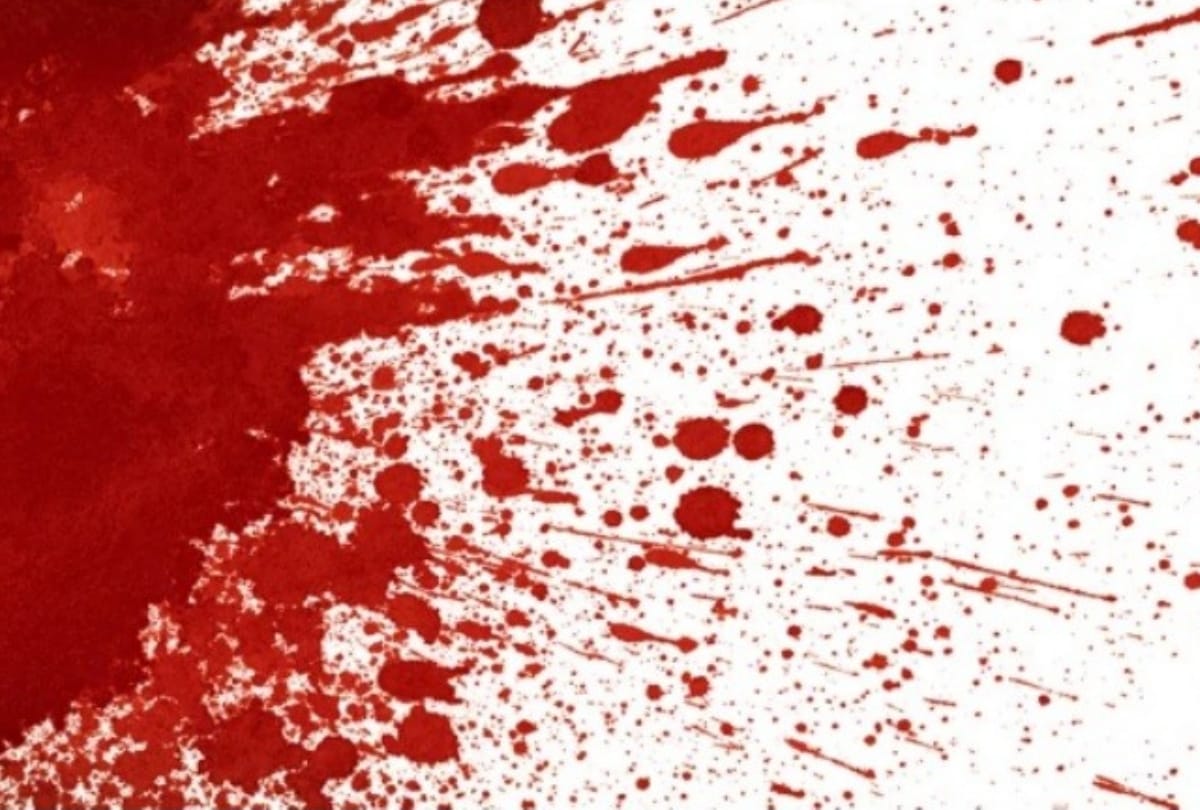 Friend murder teenager because he refused to homosexual relationship