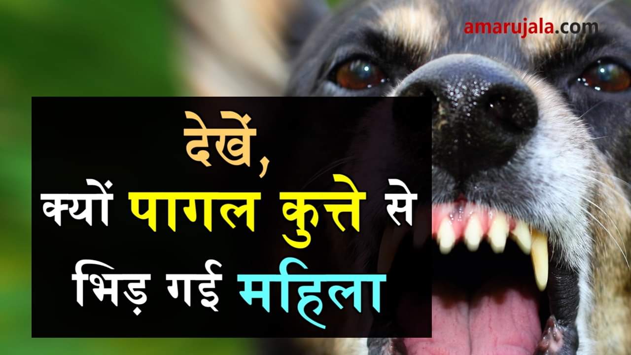 प्रतीकात्मक तस्वीर