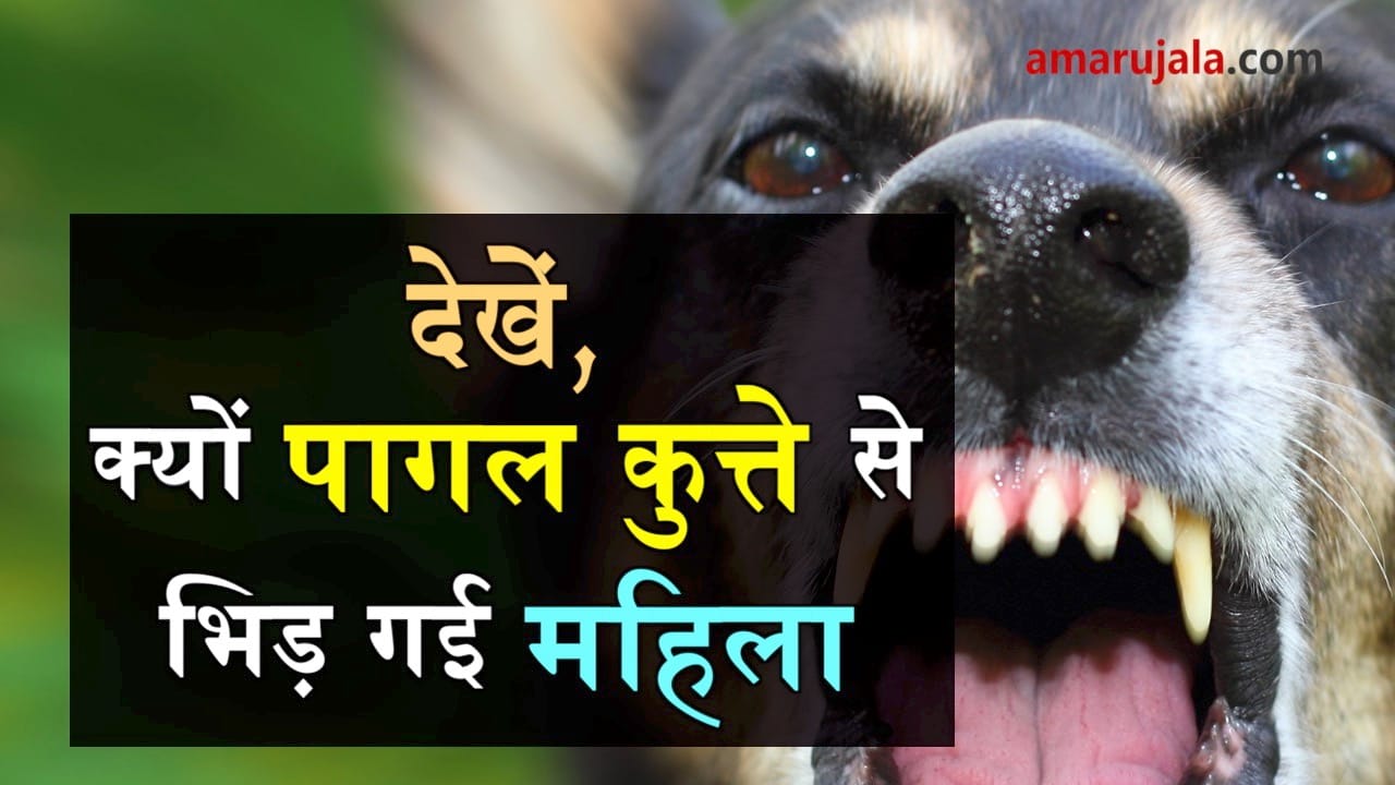 प्रतीकात्मक तस्वीर