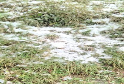 big loss to apple crop in himachal due to heavy hailstorm