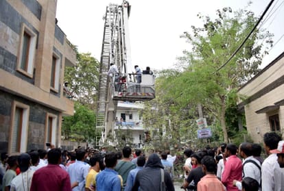 man climbed on a tree of 30 feet longer was put down after 2-3 hours