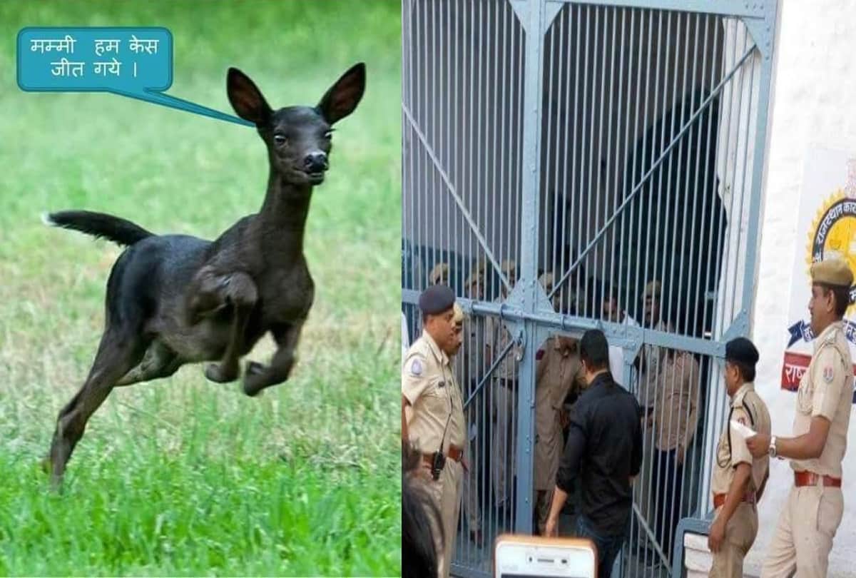know what bishnoi society says on salman khan sentence to 5 year jail in blackbuck poaching case