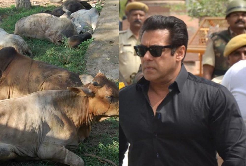 punishment to be given on slaughtering animals.