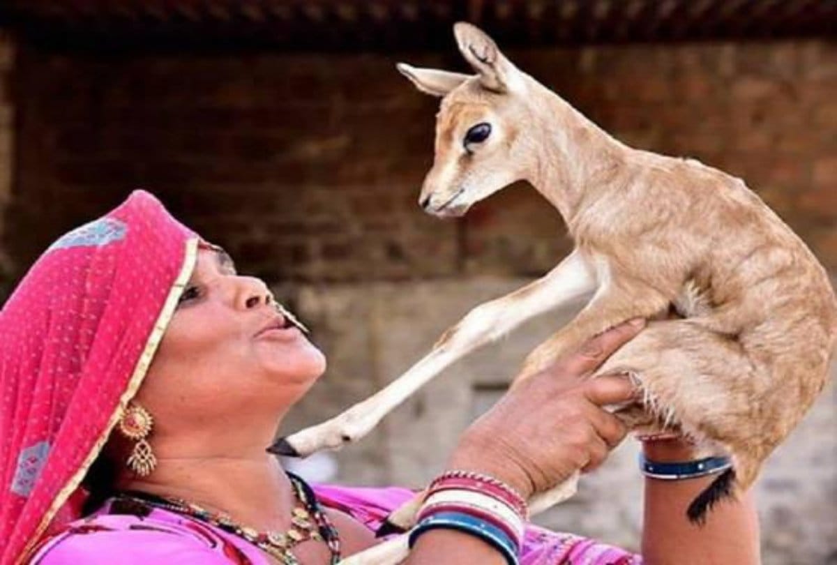 A society called Vishnoi samaj so glad to Bollywood Star Salman khan jail in blackbuck poaching case