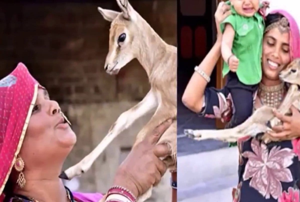 A society called Vishnoi samaj so glad to Bollywood Star Salman khan jail in blackbuck poaching case