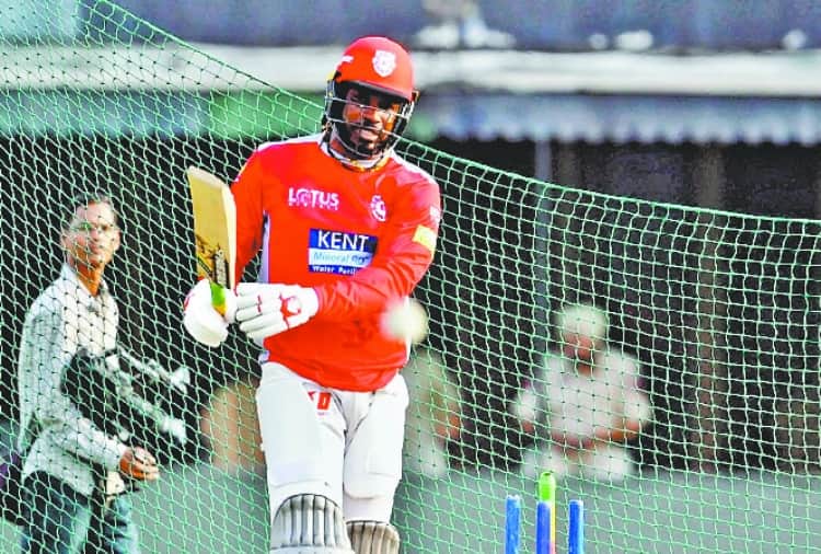 ipl 2018, Preity Zinta team kings xi punjab chris gayle in chandigarh