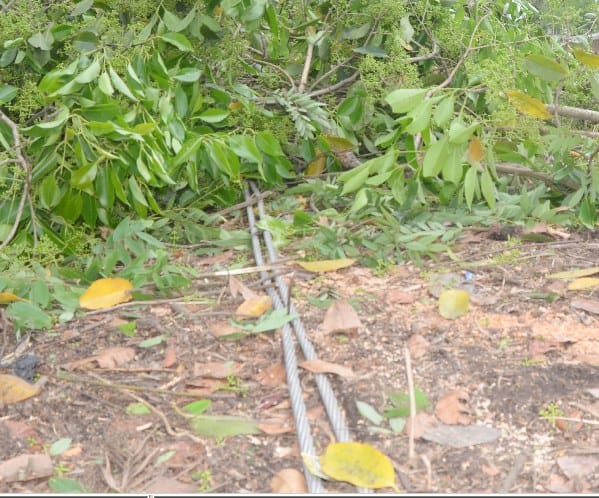 Electricity supply disrupted due to storm