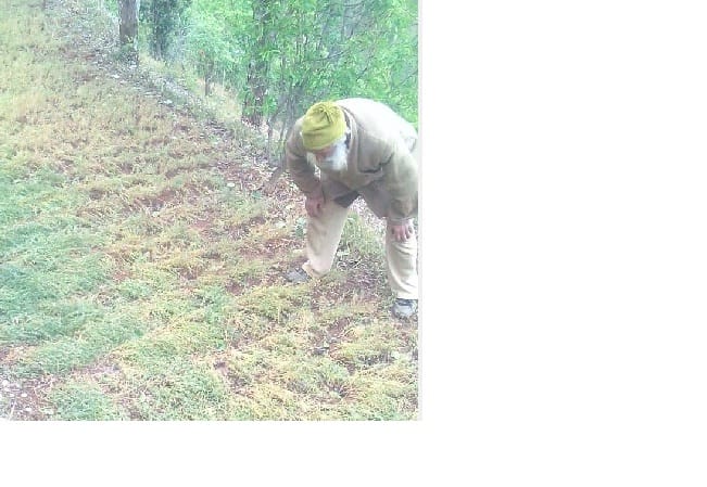 Due to severe thunderstorms and rains, life span is busy